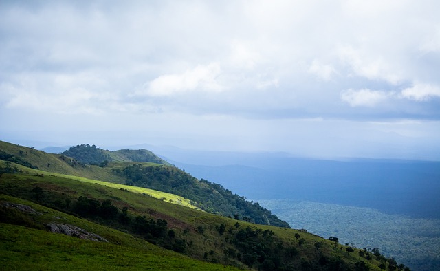 洛杉矶快船 洛杉矶快船