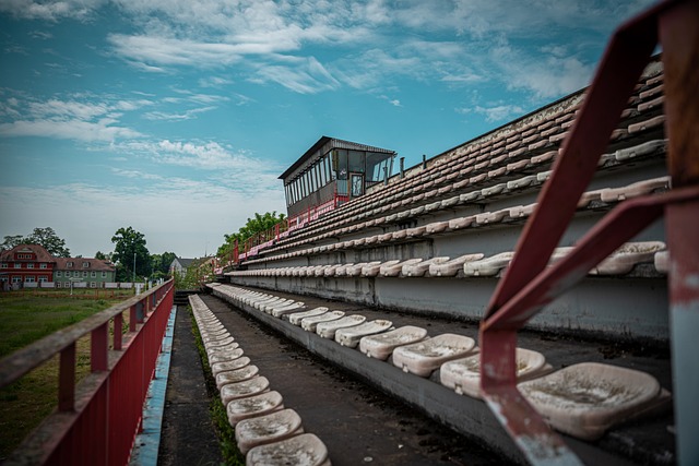 队的世界杯 队的世界杯