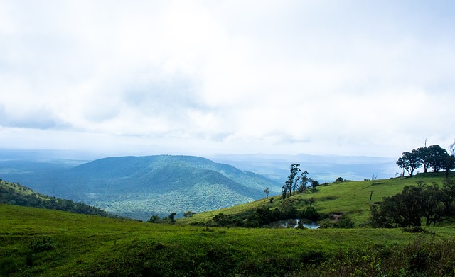 化和大众化 化和大众化