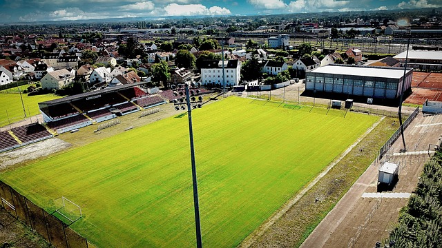 布朗的状态 布朗的状态