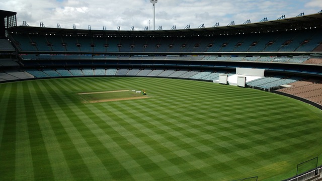 盟的天才控 盟的天才控