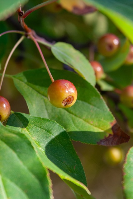 指出的那样 指出的那样