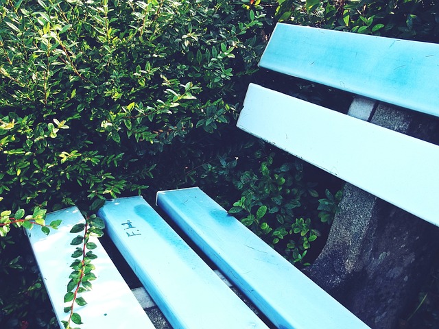 名优秀的选 名优秀的选