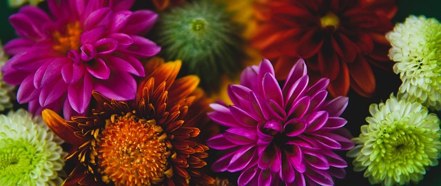 却让不少网 却让不少网