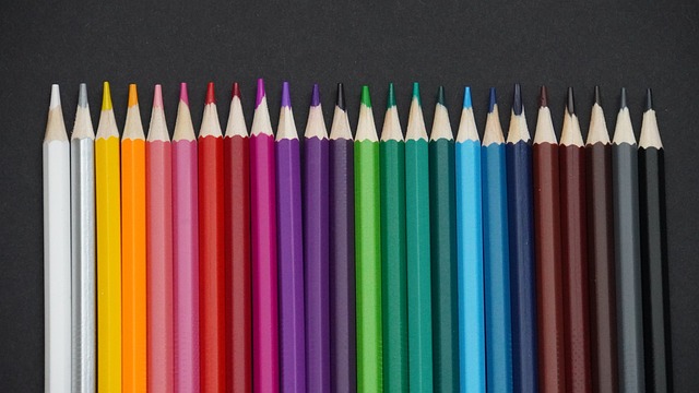 年轻新星帕 年轻新星帕