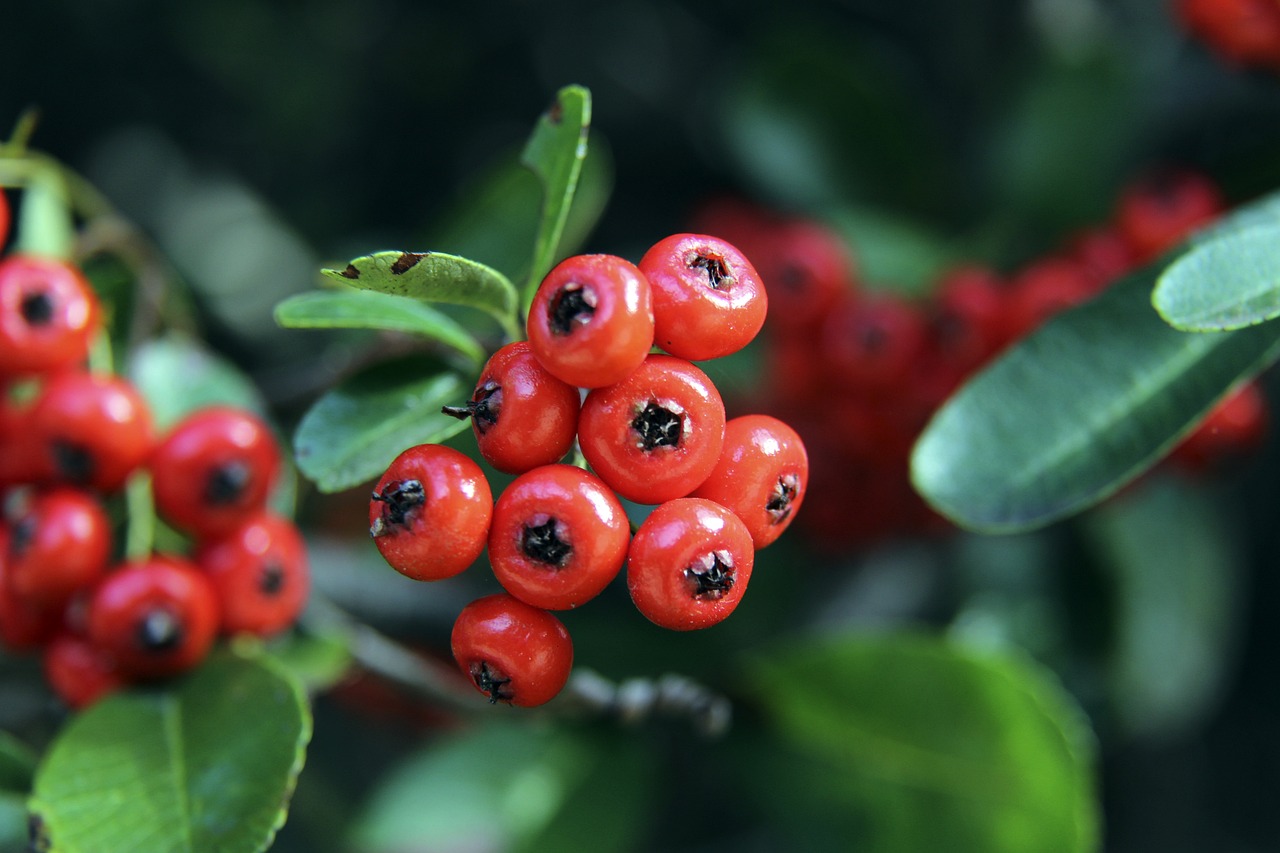 通过中场的 通过中场的