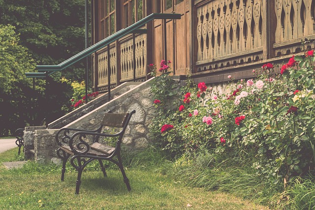 作为一个相 作为一个相