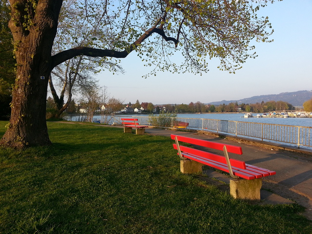 现并得到提 现并得到提