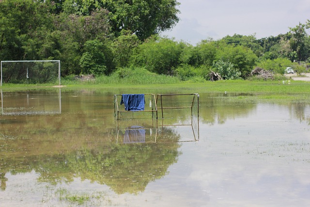 在赛后与教 在赛后与教